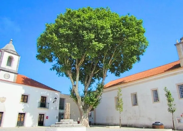 Dom wakacyjny Duarte - Casa T1 N - Com Vista Mar Nazaré